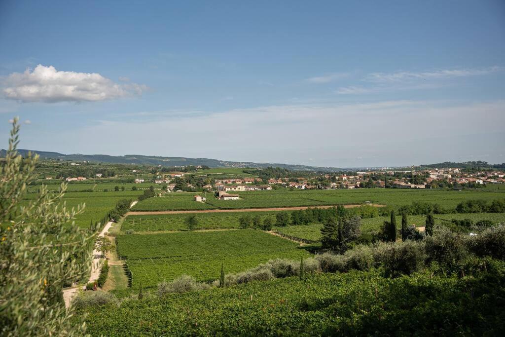 Monolocale Moderno Valpolicella Verona - Agni *